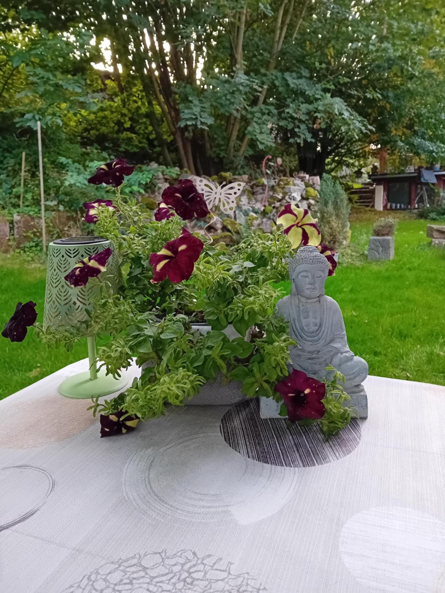 Ferienhaus Mit Garten Im Odenwald Zu Vermieten Frankisch-Crumbach Εξωτερικό φωτογραφία